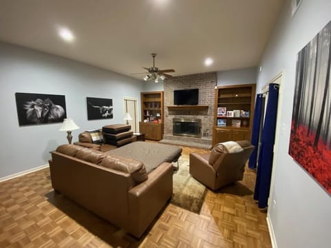 Main living area with sofa bed
