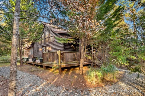 Welcome to Fiona's Forest Haven
