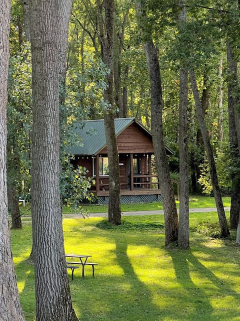 OTRTTW Cabin 1 Zoom Out with Trees