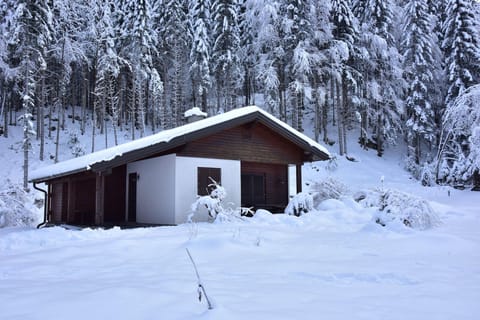 Holiday Home Exterior [winter]