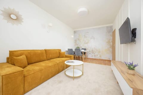 Comfortable, fold-out sofa