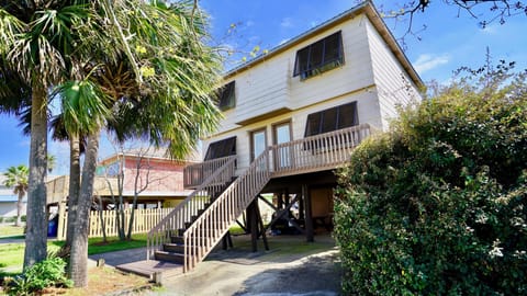 3 Palms