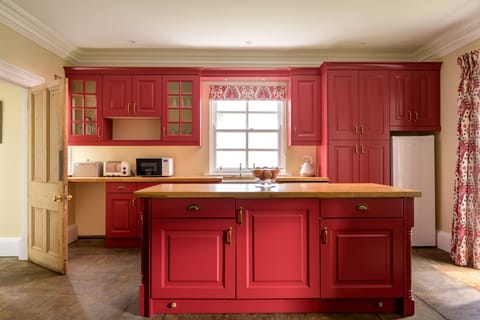 Family kitchen with electric Aga cooker and door to garden
