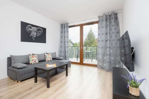 Bright living room with sofa and TV – Spacious and full of natural light thanks to large windows.