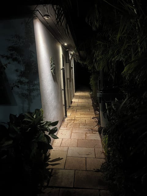 Illuminated path