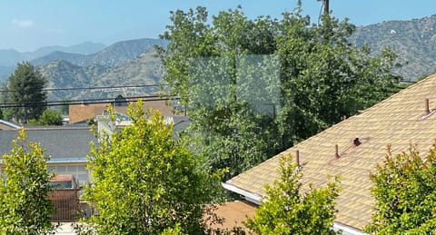 View from the Spiral Staircase Window