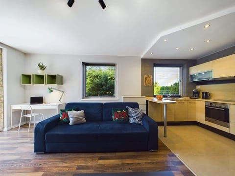 Comfortable, fold-out sofa in the living room. 