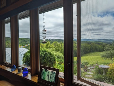 View from the Kitchen