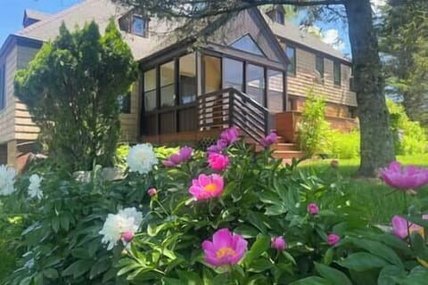 Back Yard deck and screen room