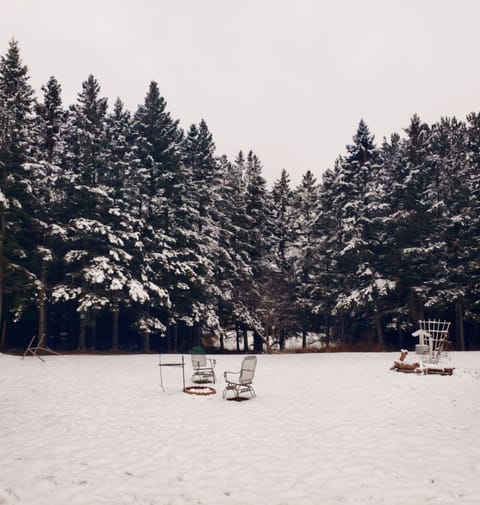 Acre yard with fire pit and winter wonderland