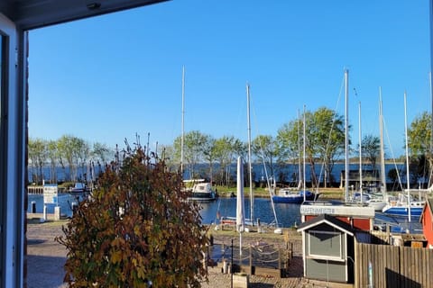 Surroundings [summer] (1-5 km)