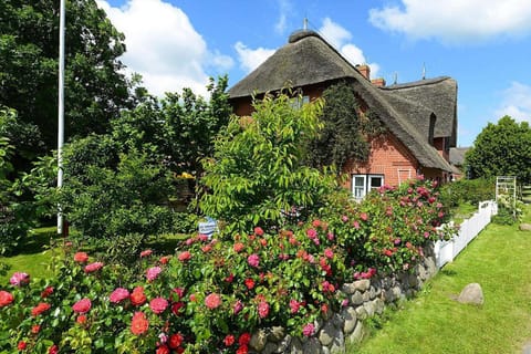 View from Holiday Home [summer]
