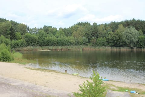 Immediate Surroundings [summer] (<1 km)
