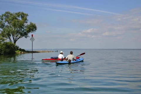 Region [summer] (>5 km)