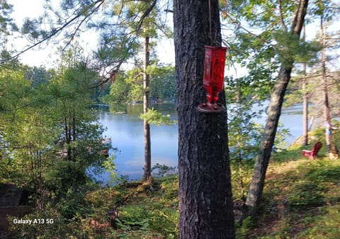 view from deck off kitchen 