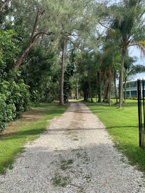 Property grounds