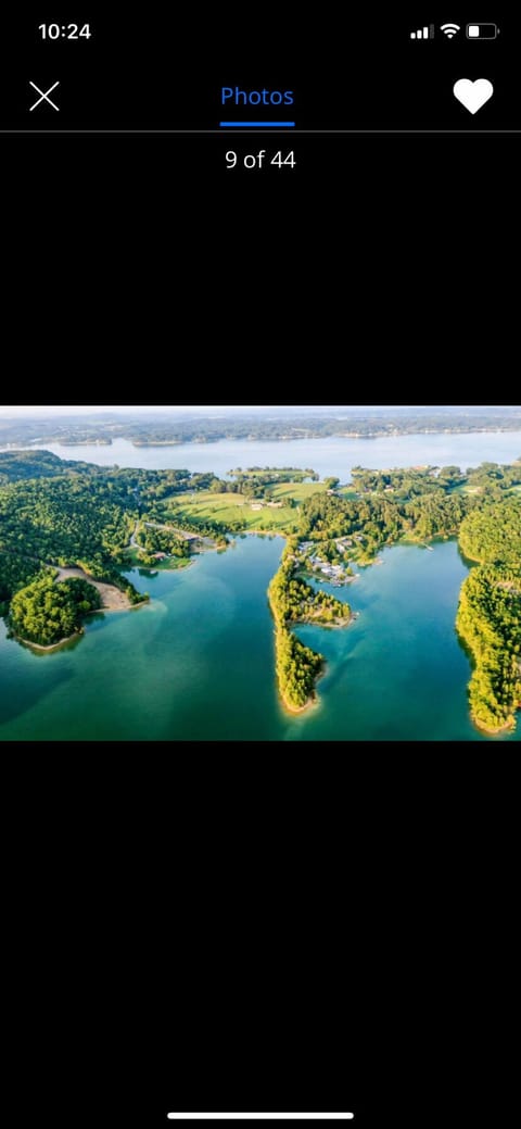 Come enjoy all 12 acres at Cedar Cove Hideaway 