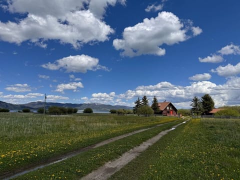 Exterior- Driveway/ Front View 