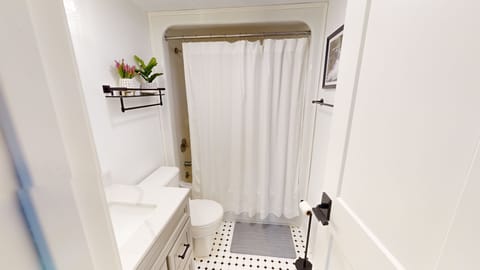 Indoors, Home Decor, Rug, Bathroom, Toilet