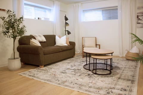 Living room with 100" projector TV. Netflix, Disney+ available.