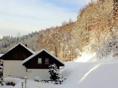 Holiday Home Exterior [winter]