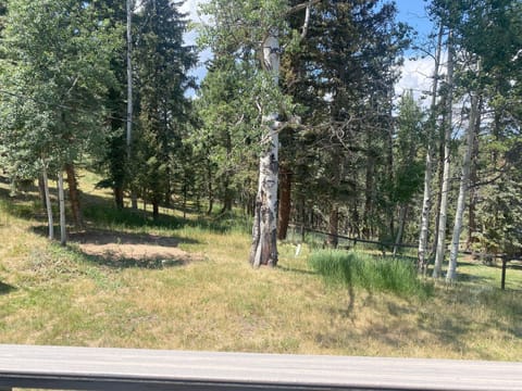 Holiday House private back yard.