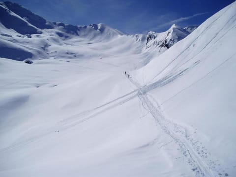 Region [winter] (>5 km)