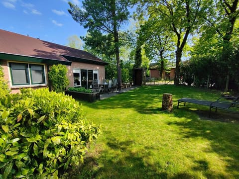 Garden [summer]