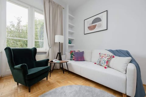 Comfortable, fold-out sofa in the living room. 
