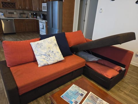 Storage for pullout sofas. Blankets & sheets.