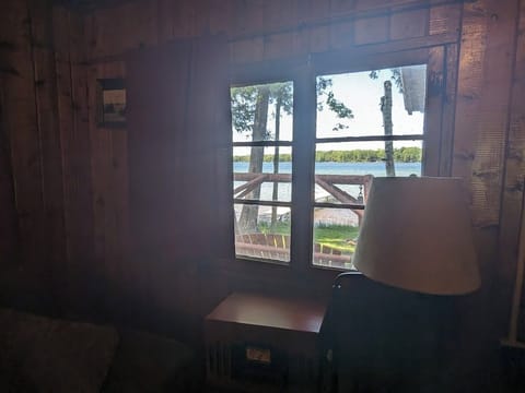 View of the Lake - View a of Bass Lake from living area.