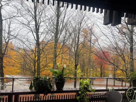 View from the kitchen / eating area balcony.