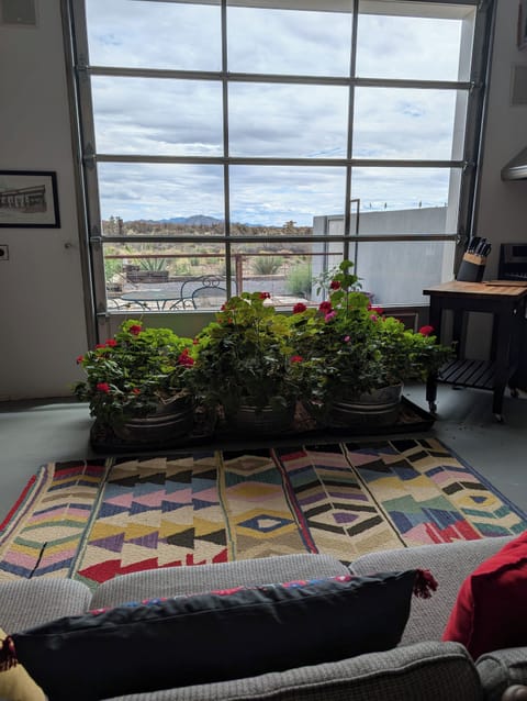 view from sofa to patio and land beyond house