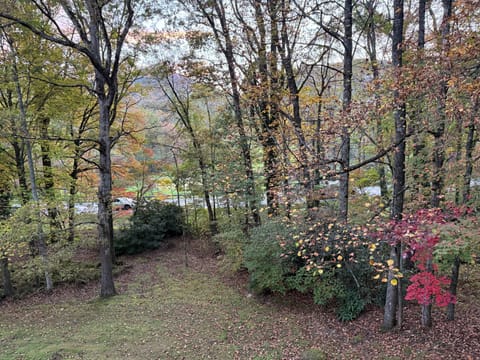 Fall deck view 2025
