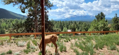 Don’t be surprised when you wake up to friends outside master bedroom door