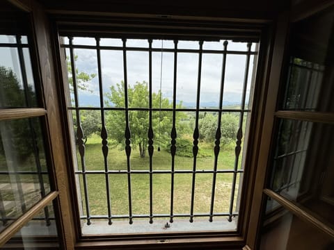 Building, Property, Plant, Sky, Wood, Window, Wall, Tree, Shade
