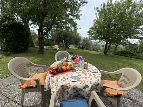 Table, Plant, Furniture, Property, Chair, Outdoor Table, Tableware, Tree, Outdoor Furniture, Natural Landscape