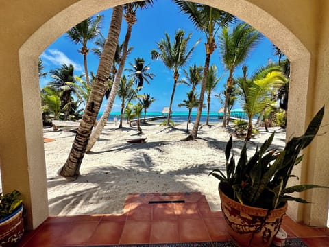 The stunning colours of Ambergris Caye