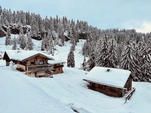 Chalet Le Ruisseau is on the ski slopes of the Avoriaz ski area, in Montriond. Direct access to 650 km of ski slopes from the doorstep.