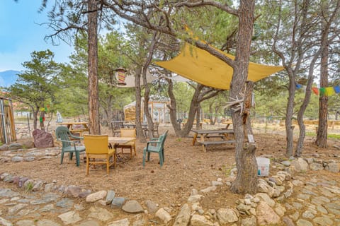 Private Yard | Dance Plaza