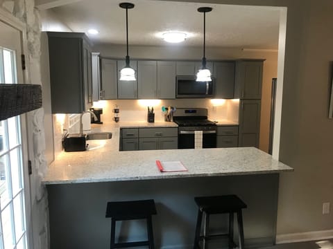 Kitchen with breakfast bar