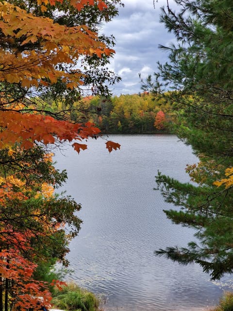 View from the deck - Fall