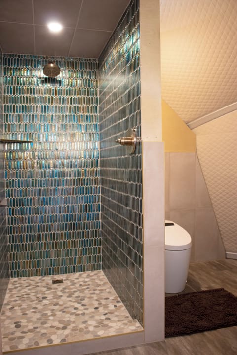 Blue Aster's custom shower and Japanese-style bidet toilet