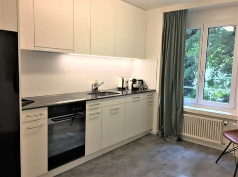 Fully equipped kitchen with a view to the park
