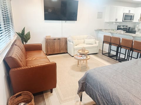 UPDATED FEBRUARY 2025: New leather larger futon couch bed! 