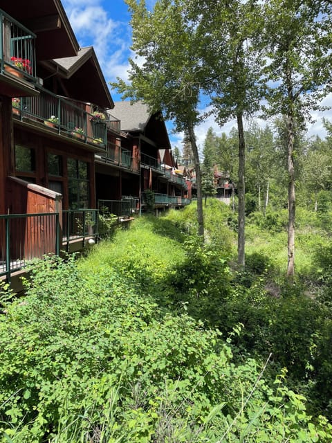 View of the back decks facing the river