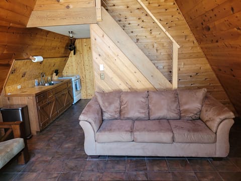 LIVING ROOM:  Features a sofa, futon, and a large television with cable television.