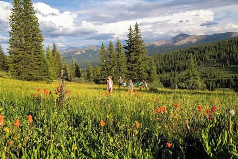 Vail, CO