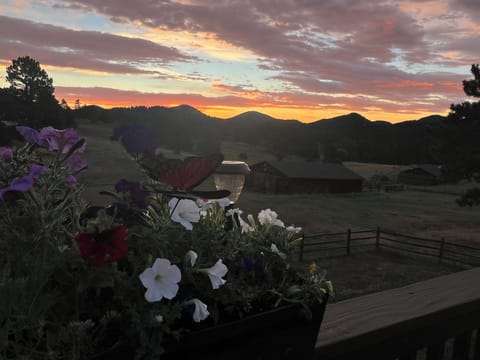 Rocky Mountain 5 star oasis