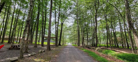 Cabin is steps away from Locust Lake!